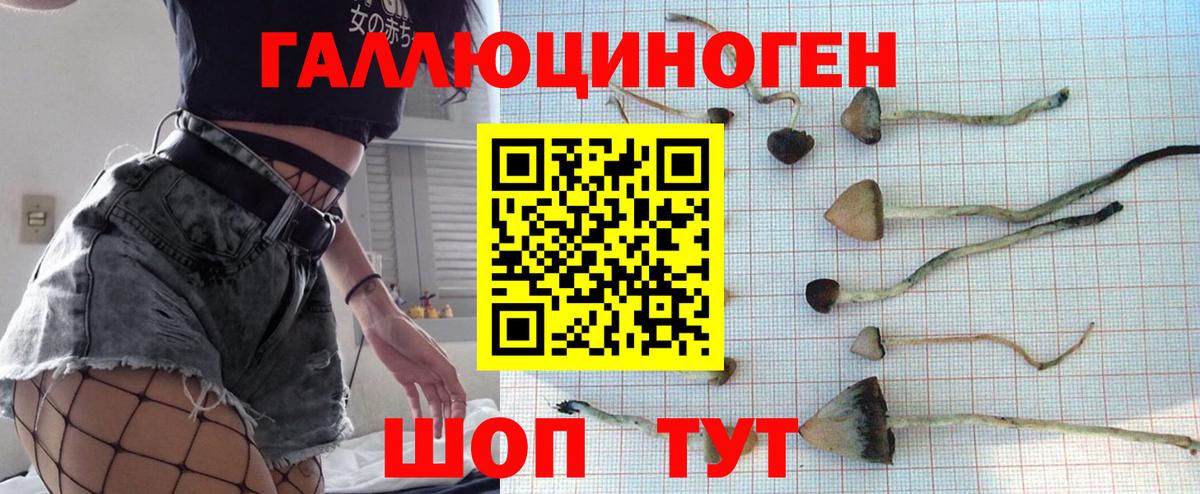 Псилоцибиновые грибы Cubensis Иркутск