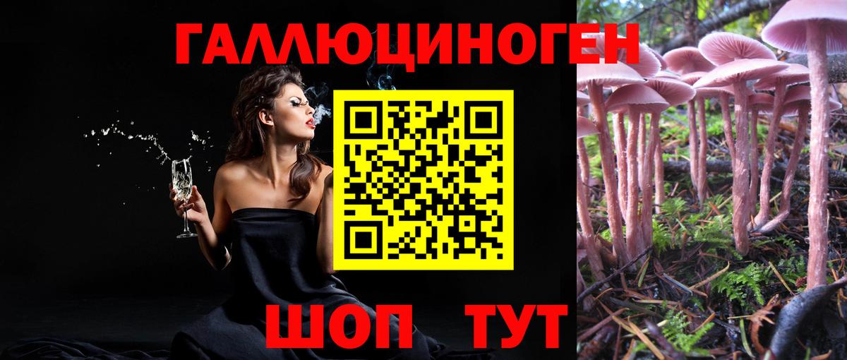 Иркутск  Псилоцибиновые грибы Psilocybe  Вход с VPN  как найти   Псилоцибиновые грибы GOLDEN TEACHER 